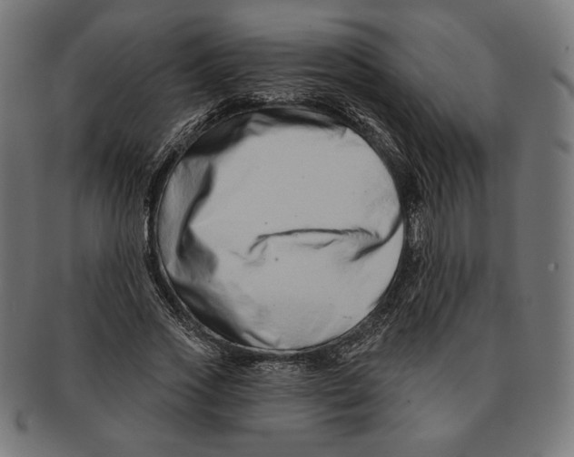 X0000091170733200709060933