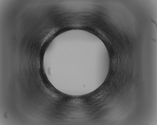 X0000091170734200709060933