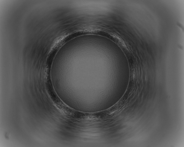 X0000091170736200709060933