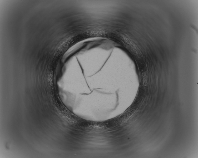 X0000091170737200709060933