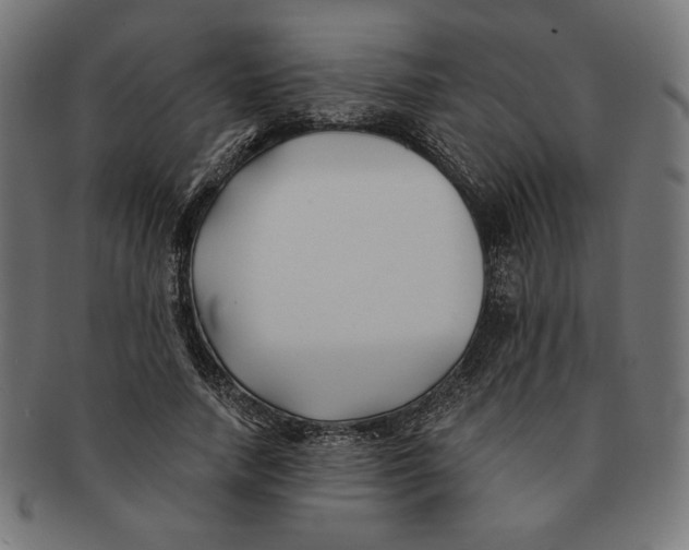 X0000091170738200709060933