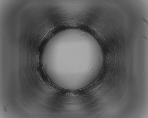 X0000091170739200709060933