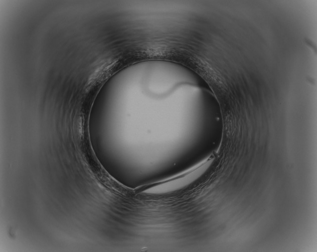X0000091170740200709060933