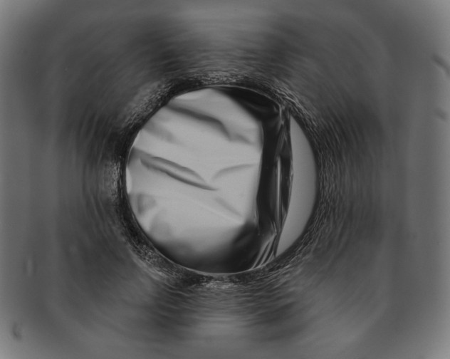 X0000091170742200709060933