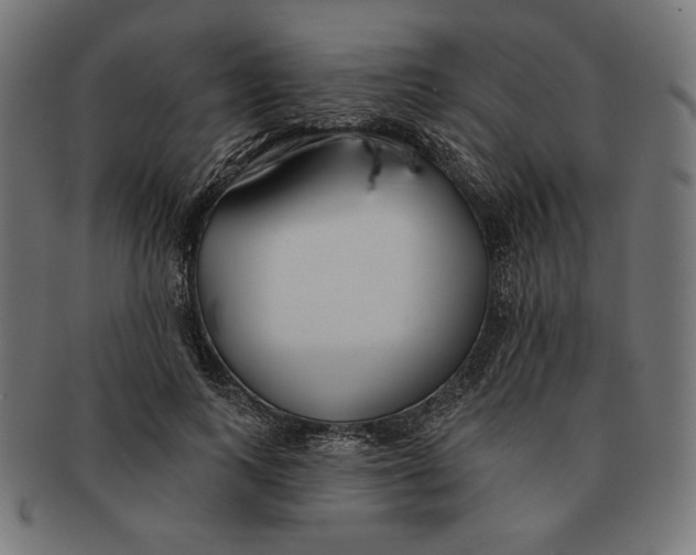 X0000091170743200709060933