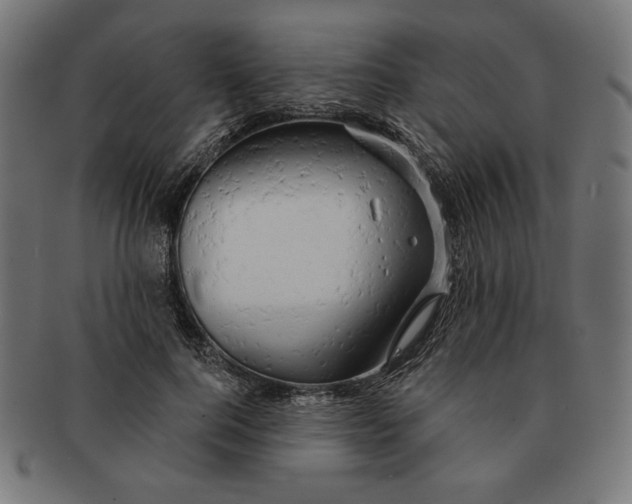 X0000091170744200709060933