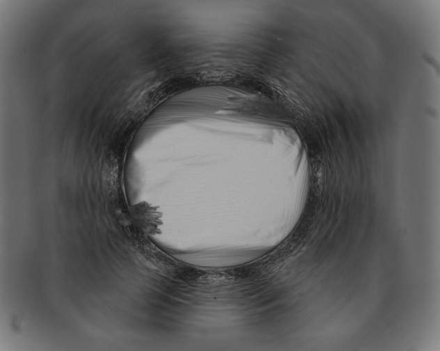 X0000091170745200709060933