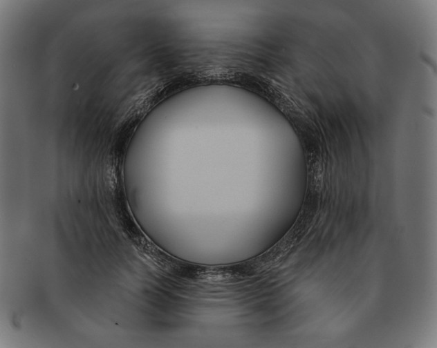 X0000091170746200709060933