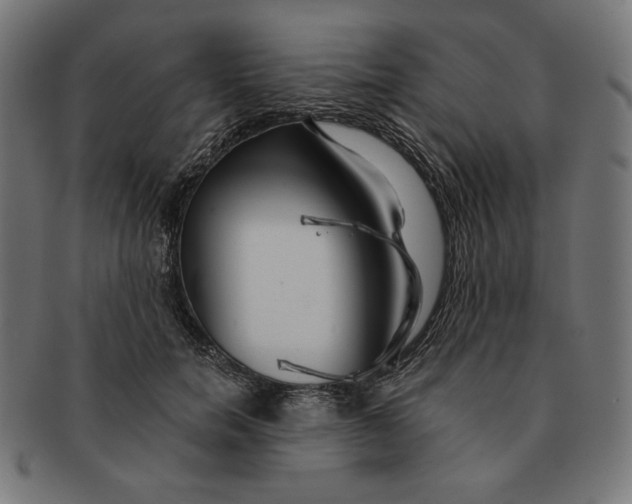 X0000091170750200709060933