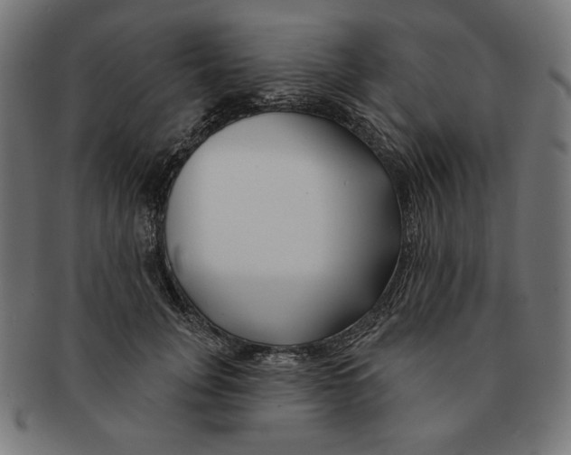 X0000091170751200709060933
