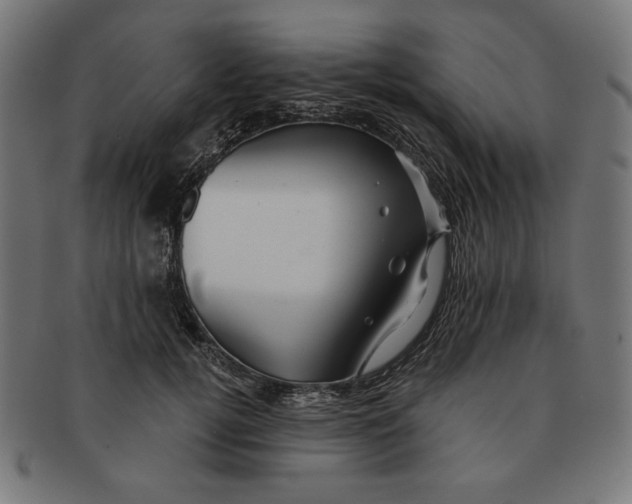X0000091170752200709060933
