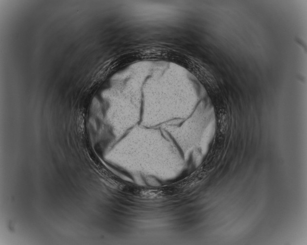 X0000091170753200709060933