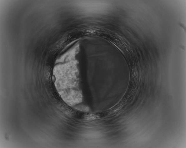 X0000091170754200709060933