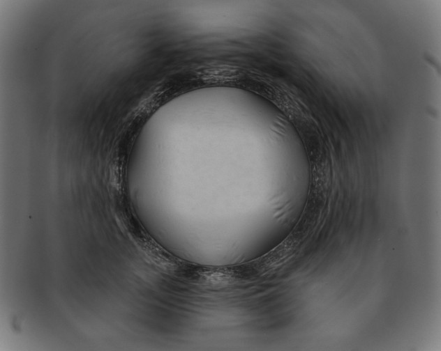 X0000091170755200709060933