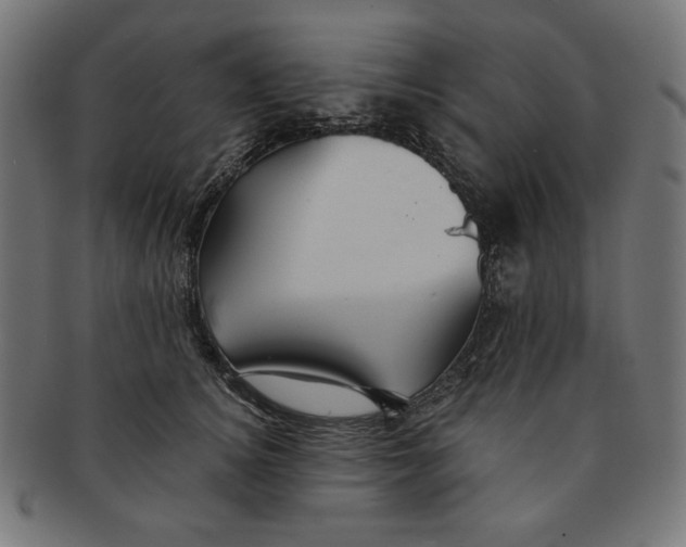 X0000091170756200709060933