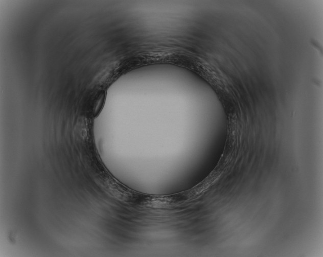 X0000091170758200709060933