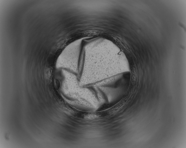 X0000091170759200709060933