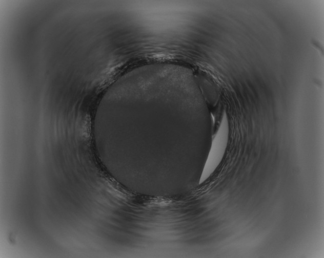 X0000091170760200709060933