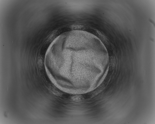 X0000091170761200709060933