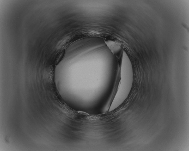 X0000091170762200709060933