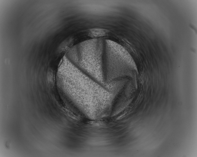 X0000091170763200709060934