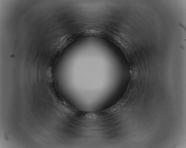 X0000091170764200709060934