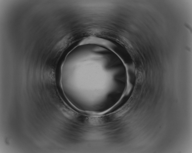 X0000091170766200709060934