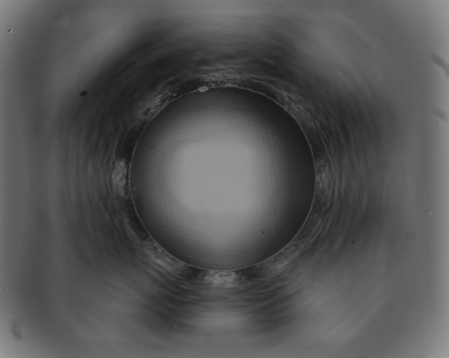X0000091170767200709060934