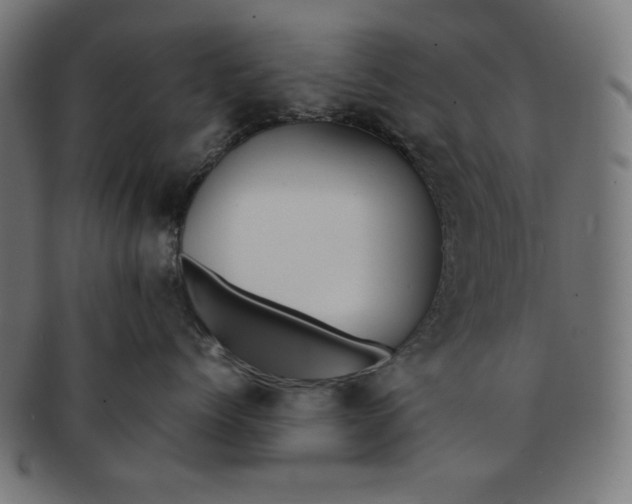 X0000091170768200709060934