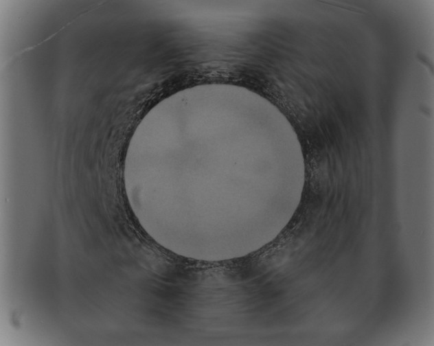 X0000091170769200709060933