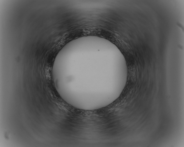 X0000091170770200709060933
