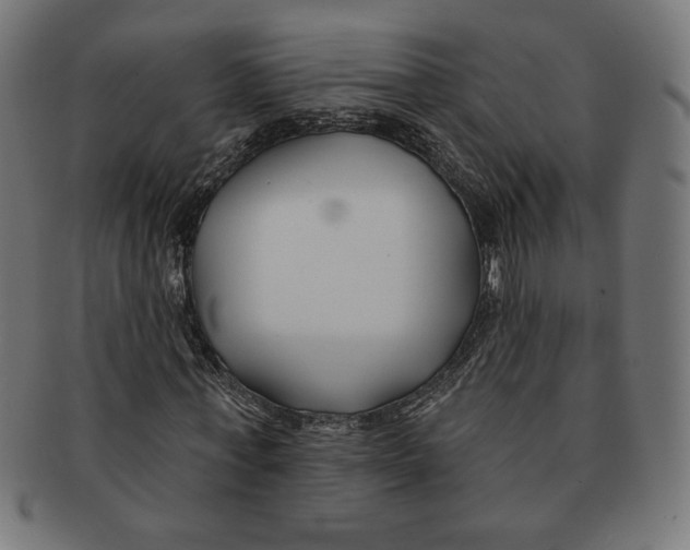 X0000091170771200709060933