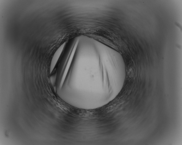 X0000091170772200709060933