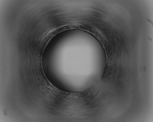 X0000091170773200709060933