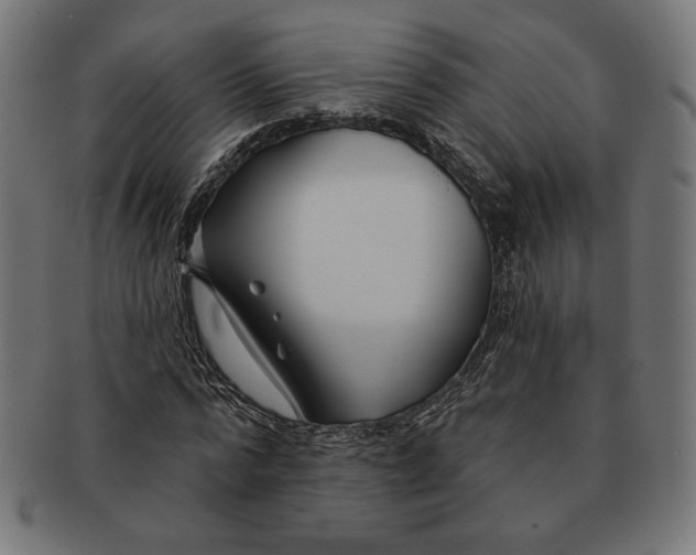 X0000091170776200709060933