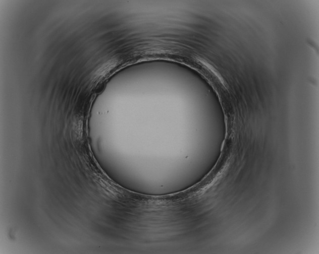 X0000091170777200709060933