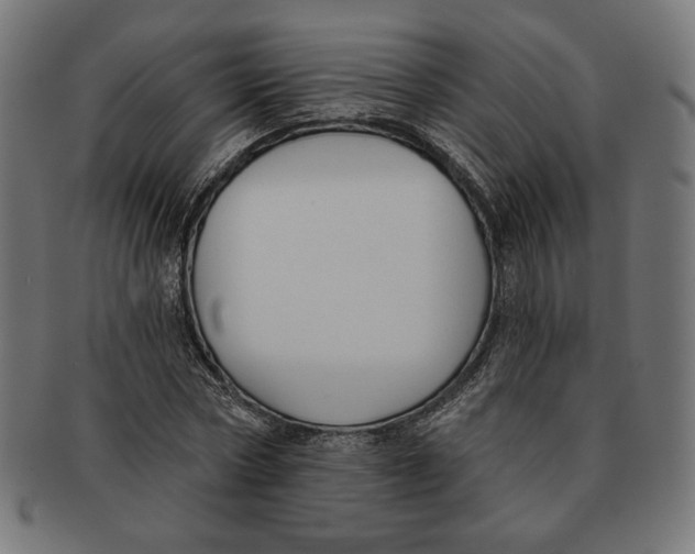 X0000091170778200709060933