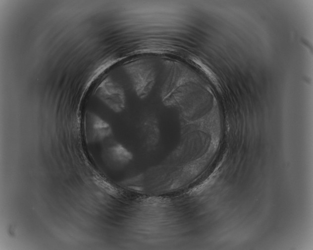 X0000091170779200709060933