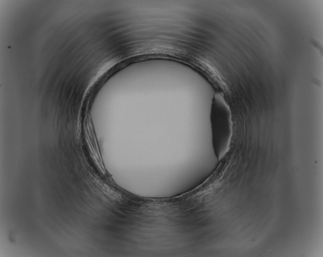 X0000091170780200709060933
