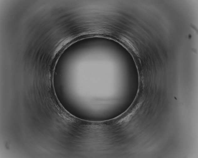 X0000091170781200709060933