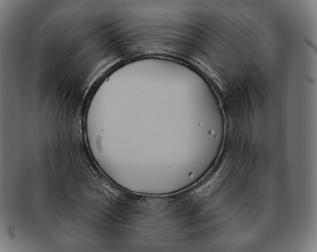 X0000091170782200709060933