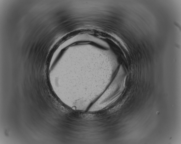 X0000091170783200709060933