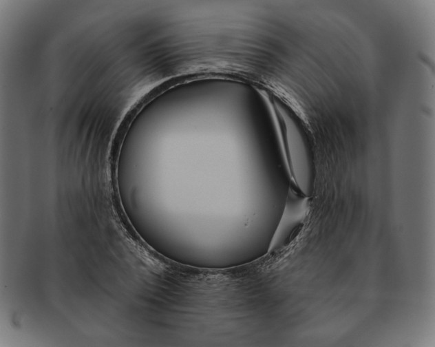 X0000091170784200709060933