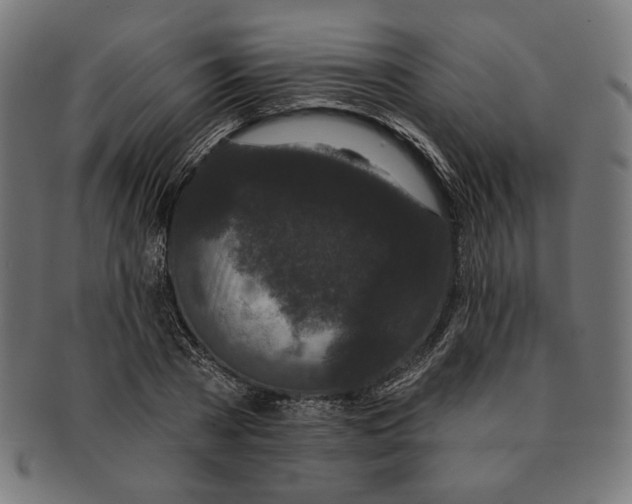 X0000091170785200709060933