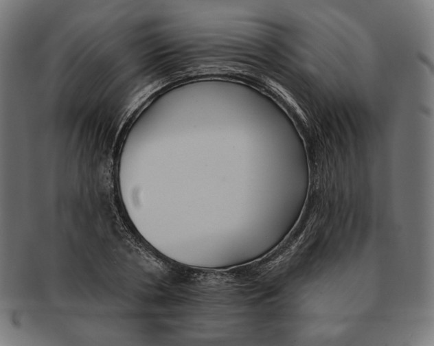 X0000091170786200709060933