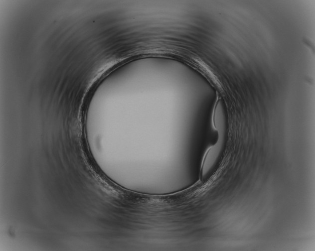 X0000091170787200709060933