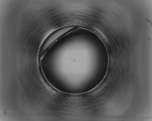 X0000091170788200709060933
