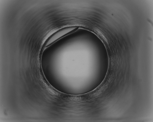 X0000091170789200709060933