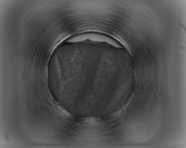 X0000091170790200709060933