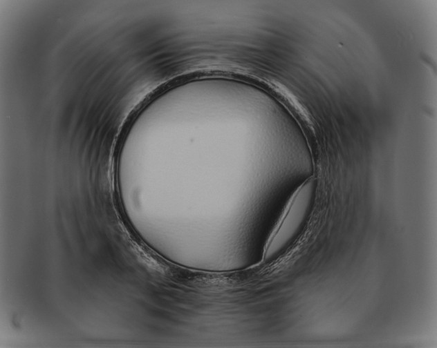 X0000091170791200709060933